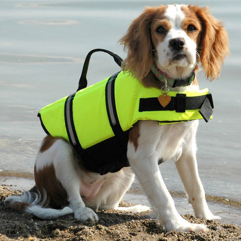 Pet Dog Life Jacket Safety Clothes for Pet Life Vest Summer Clothes Saver Swimming Preserver Swimwear Large Dog Life Jacket 30S2