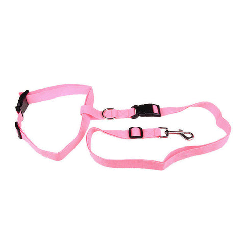 2016 Popular pet shop dog Running Dog Pet Products Cable Leads Collars Traction Belt Pet Dog Traction Rope